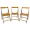 Mid-Century French Garden Dining Folding Chairs from Clairitex, Set of 3 1