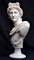 Buste Vintage en Marbre du Dieu Grec Apollon, Fin 20ème Siècle 10