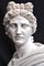 Buste Vintage en Marbre du Dieu Grec Apollon, Fin 20ème Siècle 11