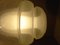 Pullegous Glas Deckenlampe von Carlo Nason für Mazzega Murano, 1960er 12