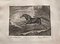 Johann Elias Riedinger, Incisione in rame dalla grande scuola di equitazione, Augusta 1734, Cheval Tartare, fine XIX secolo, Immagine 2