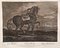 Johann Elias Riedinger, Incisione in rame della scuola di equitazione grande, Augusta 1734, Cheval Barbe, fine XIX secolo, Immagine 3