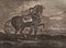 Johann Elias Riedinger, Incisione in rame della scuola di equitazione grande, Augusta 1734, Cheval Barbe, fine XIX secolo, Immagine 1