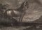 Johann Elias Riedinger, Incisione in rame della scuola di equitazione grande, Augusta 1734, Cheval Frise, fine XIX secolo, Immagine 1