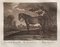 Johann Elias Riedinger, Incisione in rame dalla grande scuola di equitazione, Augusta 1734, Un Cheval Ordinaire, fine XIX secolo, Immagine 3