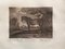Johann Elias Riedinger, Incisione in rame dalla grande scuola di equitazione, Augusta 1734, Un Cheval Ordinaire, fine XIX secolo, Immagine 2