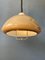 Vintage Space Age Pendant Light by Dijkstra 7