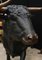 Statua di toro in bronzo, Immagine 8