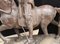 Bronze Horse Casting Gladiator Statue 9