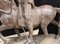 Bronze Horse Casting Gladiator Statue, Image 9