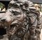 Bronze Lions Monumental Cat Statues, Set of 2 12