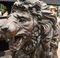 Bronze Lions Monumental Cat Statues, Set of 2, Image 12