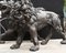 Bronze Lions Monumental Cat Statues, Set of 2 3