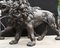 Bronze Lions Monumental Cat Statues, Set of 2, Image 3