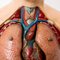 Anatomische Büste 11