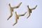 Modernist Brass Bird Wall Decor, Set of 3, Image 7