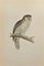 Alexander Francis Lydon, Great White Heron, Woodcut Print, 1870 1