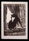 Desconocido, gato negro junto a la ventana, grabado en madera original, principios del siglo XX, Imagen 1