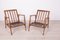 Model 300-139 Armchairs from Swarzędz Factory, 1960s, Set of 2 6