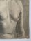 G Guillot De Raffaillac, Nude Study, siglo XX, carbón, Imagen 4