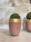 Foundry Planters Crucibles, Set of 3 23