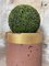Foundry Planters Crucibles, Set of 3 6
