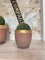 Foundry Planters Crucibles, Set of 3 20