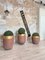 Foundry Planters Crucibles, Set of 3 17