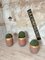 Foundry Planters Crucibles, Set of 3 5