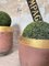 Foundry Planters Crucibles, Set of 3 13