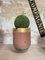 Foundry Planters Crucibles, Set of 3 21