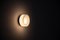 FlatWhite W1 Opal Lamp by Alex Fitzpatrick for ADesignStudio, Image 6