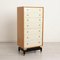 Mid-Century Librenza Oak Chest of Drawers with Painted Front from G-Plan, 1960s 8