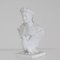 After Bertel Thorvaldsen, Bust of Napoleon Bonaparte, 19th Century, Bisque Porcelain 7