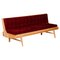 Mid-Century Modern Red Oak Sofa, 1950s 1