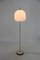 Mid-Century Floor Lamp, Germany, 1960s 2