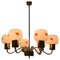 Mid-Century Chandelier from Kamenicky Senov, 1970s 1