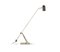 Stasis Floor Lamp in Brass and Bronze by Bert Frank 1