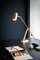 Lampada da tavolo Stasis in ottone e rame di Bert Frank, Immagine 2