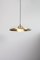Sedge Pendant Light in Brass by Bert Frank 2