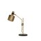 Single Brass Riddle Table Lamp by Bert Frank 1