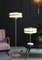 Masina Table Lamp by Bert Frank, Image 3