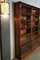 Mahogany Bookcase from Globe Wernicke, Set of 18, Image 7