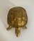 Brass Turtle Sculpture 2