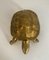 Brass Turtle Sculpture, Image 2