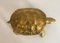 Brass Turtle Sculpture 3