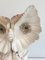 Curious Owl Figurine in Shell 8