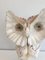 Curious Owl Figurine in Shell 7