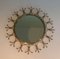 Brass and Brushed Steel Sun Mirror 1