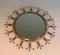 Brass and Brushed Steel Sun Mirror 4